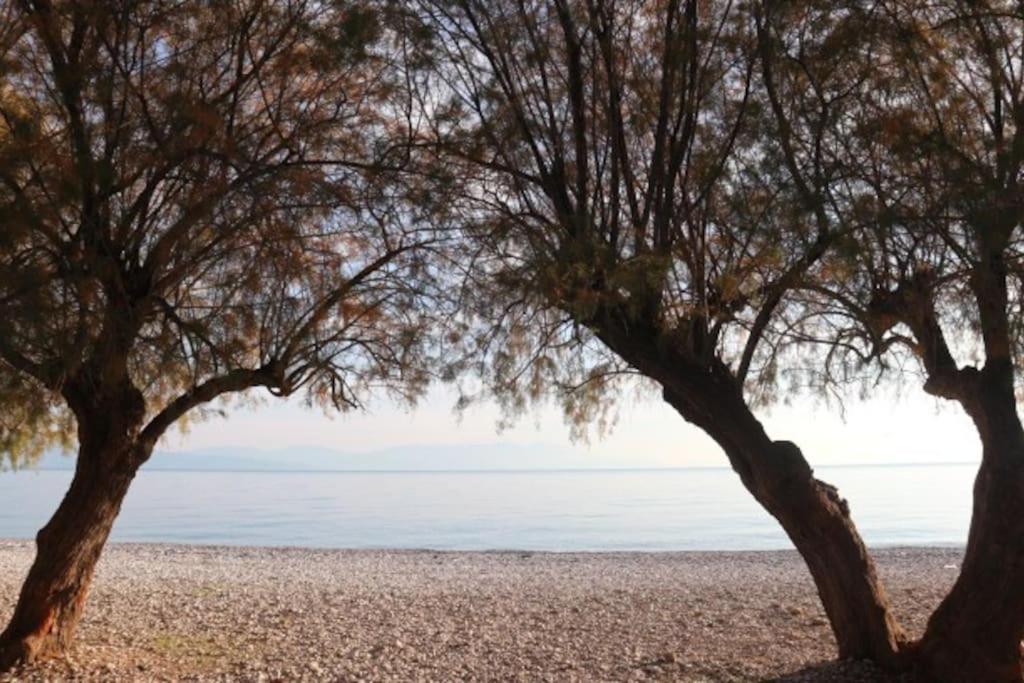 Anestis Apartment Ακράτα Εξωτερικό φωτογραφία